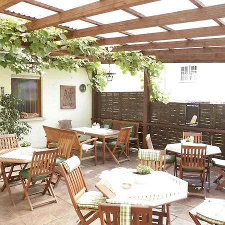 호텔 Weinhotel Lenz 3*